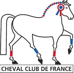 ecurie fantagaro cheval club de france federation francaise equitation